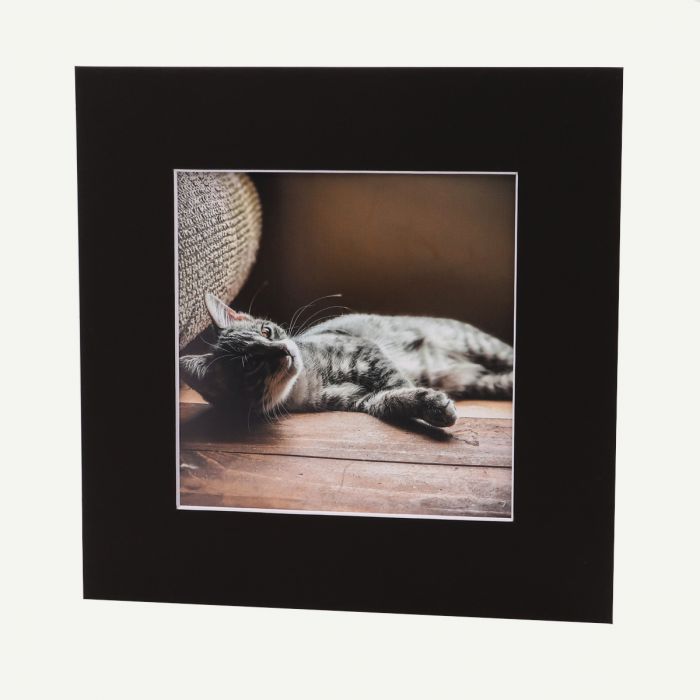 8x8 Mat for 20x20 Frame - Precut Mat Board Acid-Free White 8x8 Photo Matte  Made to Fit a 20x20 Picture Frame - On Sale - Bed Bath & Beyond - 38872160