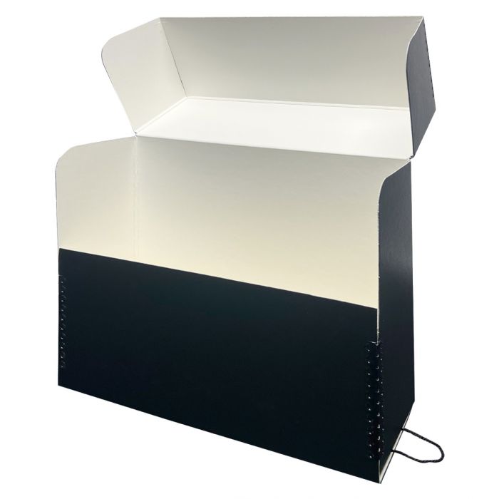 X-Large File Tote Box