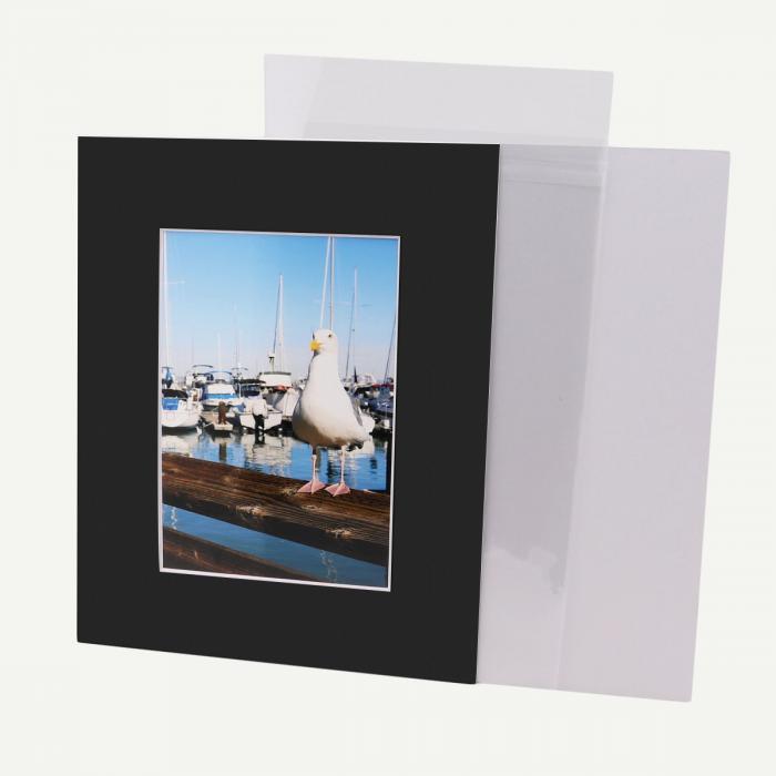 Golden State Art, Double Picture Mats with White Core Bevel Cut for 8X10  Photo Pictures (Mats, Backing, Clear Bags Included), White Over Black