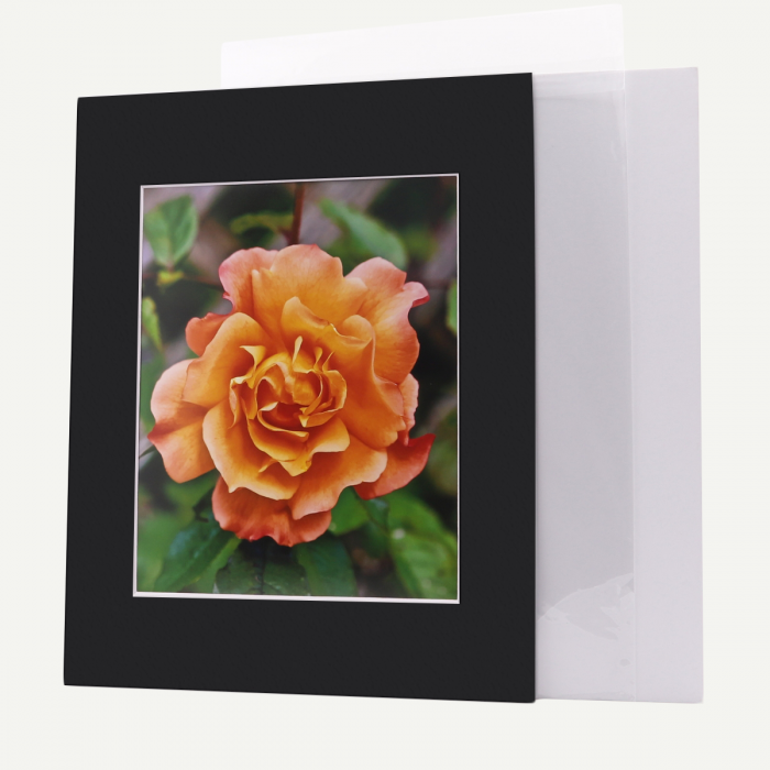 5x7 Mat for 8.5x11 Frame - Precut Mat Board Acid-Free Soft Pink 5x7 Photo Matte Made to Fit A 8.5x11 Picture Frame