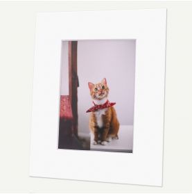 Pack of 100, 8x10 Pre-cut Mat with Whitecore fits 5x7 Picture