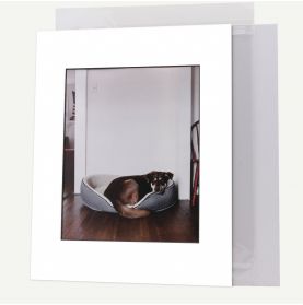 11x14 Pre-cut Mat with Blackcore fits 8x10 Picture + White Foam Board + Bag