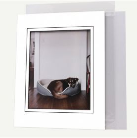 Pack of 50, 11x14 Pre-cut VGROOVE Mat fits 8x10 Picture + Backing + Bags.