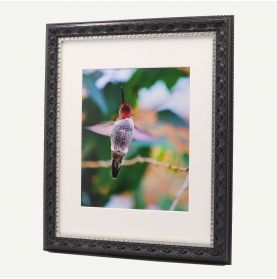 11x14 Black and Silver Polystyrene 1 1/4" Frame for 8x10 Picture and White Mat
