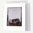 Pack of 50, 11x14 Pre-cut 8-PLY Mat with Whitecore fits 8x10 Picture + Backing + Bags.