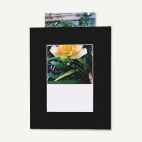 Pack of 10, Black 8x10 Slip-In Mat with Whitecore fits 5x7 Picture + Bags