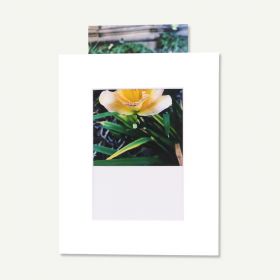Pack of 10, White 8x10 Pre-Assembled Mat with Whitecore fits 5x7 Picture + Bags