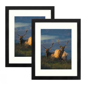 11x14 Black Certificate Frame - Displays 8.5x11 with Mat or 11x14 Inch Without Mat for Wall Mounting (2-Pack)