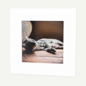 12x12 Pre-cut Mat with Whitecore fits 8x8 Picture