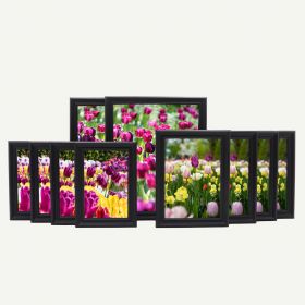 Gallery Wall Set of 10 Black Wood 3/4" Frames
