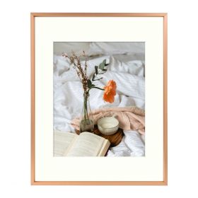 BOGO 11x14 Peach Aluminum 3/10" Frame For 8x10 Picture and Ivory Mat
